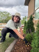 Avatar for Harlan's Gardens