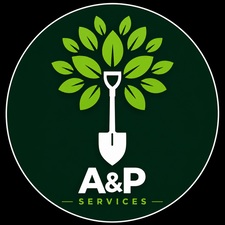 A&P services logo