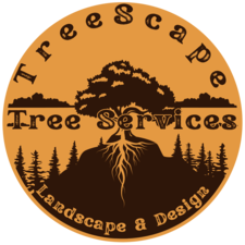 Avatar for TreeScape Tree Services, Landscape and Design