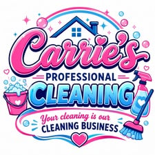 Avatar for Carrie professional cleaning