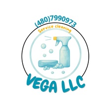 Logo for Vega llc