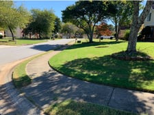 Louis Landscaping logo