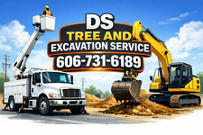 Avatar for DS TREE an excavation LLC