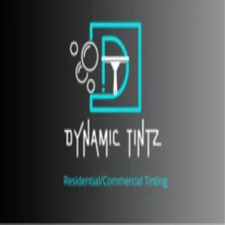 Avatar for Dynamic Tintz
