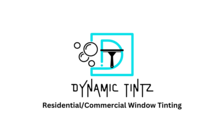 Avatar for Dynamic Tintz