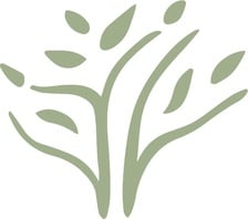 Terra Verde Landscaping LLC logo