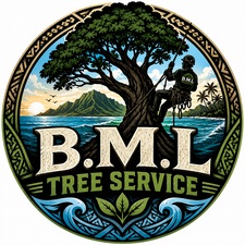 Avatar for BML Tree Services LLC