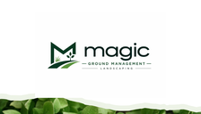 Avatar for Magic Ground Management LLC