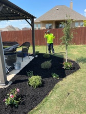 Cruz Landscaping logo