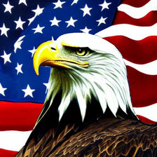 All American Liberty LLC logo