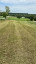 Avatar for LM Lawncare