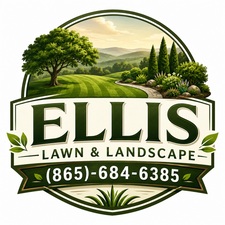 Avatar for Dalton Ellis