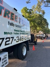 Logo for The Tree Feller of Pinellas, LLC