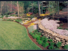 Avatar for Rodarte Landscaping & Maintenance