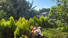 Avatar for C&J General Lawn Care