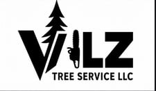 Avatar for Vilz Tree Service, LLC