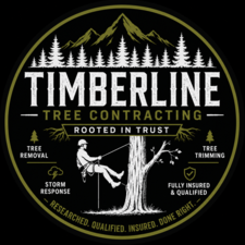 Avatar for Timberline Tree Contracting LLC