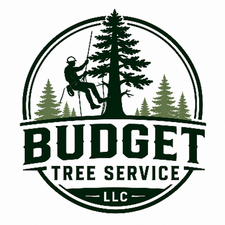Logo for Budget Tree Service LLC