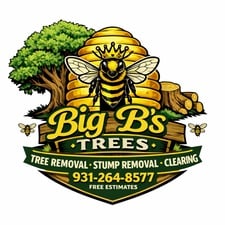 Avatar for Big Bs Trees