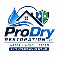 ProDry Restoration LLC logo