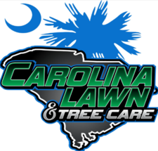 Carolina Lawn and Tree Care logo