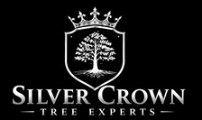 Avatar for Silver Crown Tree Experts LLC