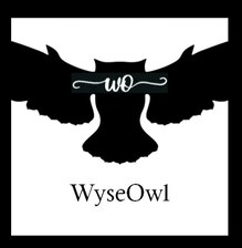 Avatar for WyseOwl Builders