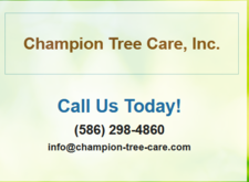 Avatar for CHAMPION TREE CARE INC