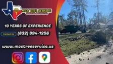 Avatar for MCS TREE SERVICE LLC