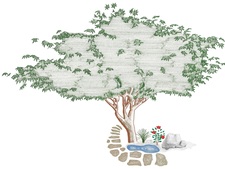 Logo for Taylor Landscape & Gardens