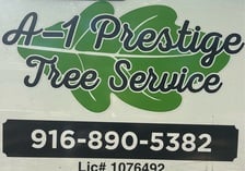 Avatar for A-1 Prestige Tree Service