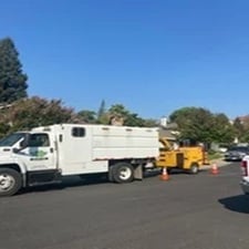 Avatar for A-1 Prestige Tree Service