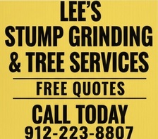 Avatar for Lee’s Stump Grinding & Tree services