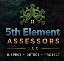 Avatar for 5TH ELEMENT ASSESSORS LLC