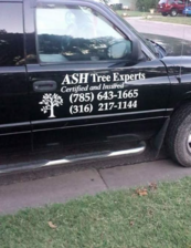 Logo for ASH Tree Experts