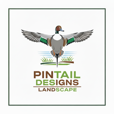 Avatar for Pintail design llc