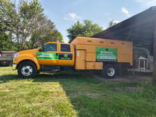Avatar for Rodriguez Tree Service