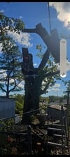 Avatar for Big Boys tree service