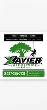 Avatar for XAVIER TREE SERVICE LLC