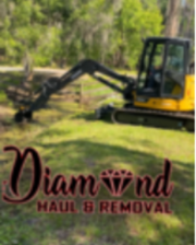Avatar for Diamond Haul and Removal