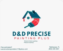 DND Precise Painting PLus logo