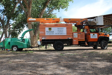 Avatar for Boyle Tree Service LLC