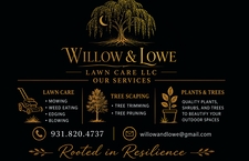 Logo for Willow and Lowe LLC