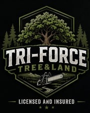 Avatar for Tri-Force Tree & Land
