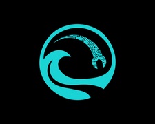 Logo for NexPool System