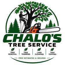 Avatar for Chalo's Tree Service