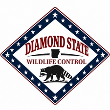 Avatar for Diamond State Wildlife Control LLC