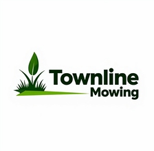 Avatar for Townline Mowing