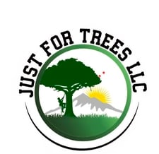 Avatar for JUST FOR TREES LLC