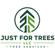 Avatar for JUST FOR TREES LLC